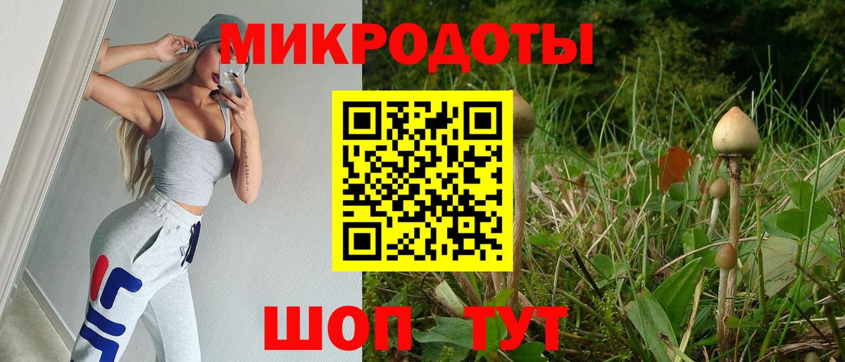 Псилоцибиновые грибы Psilocybe  Вход с VPN  купить наркотик  Солнечногорск 